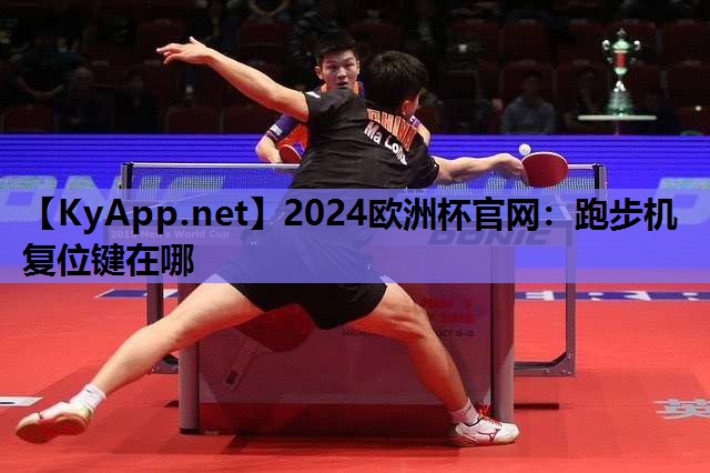 2024欧洲杯官网：跑步机复位键在哪