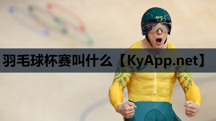 羽毛球杯赛叫什么