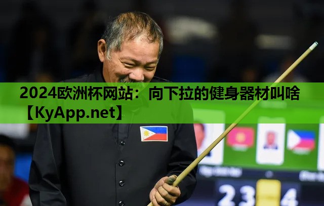 2024欧洲杯网站：向下拉的健身器材叫啥