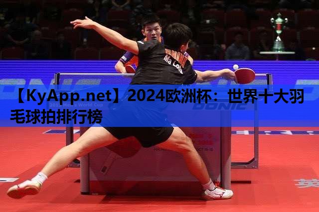 2024欧洲杯：世界十大羽毛球拍排行榜