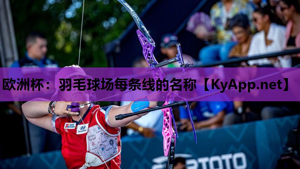 欧洲杯：羽毛球场每条线的名称