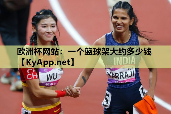 欧洲杯网站：一个篮球架大约多少钱