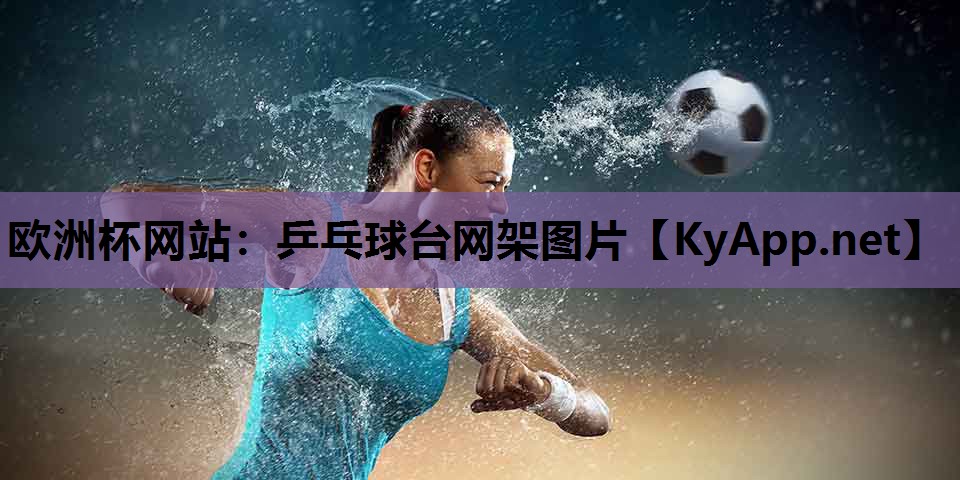 欧洲杯网站：乒乓球台网架图片
