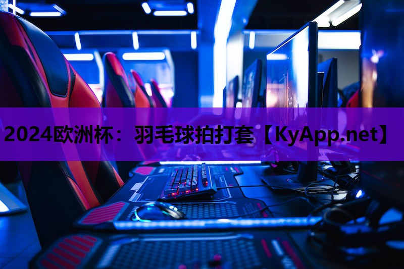 2024欧洲杯：羽毛球拍打套