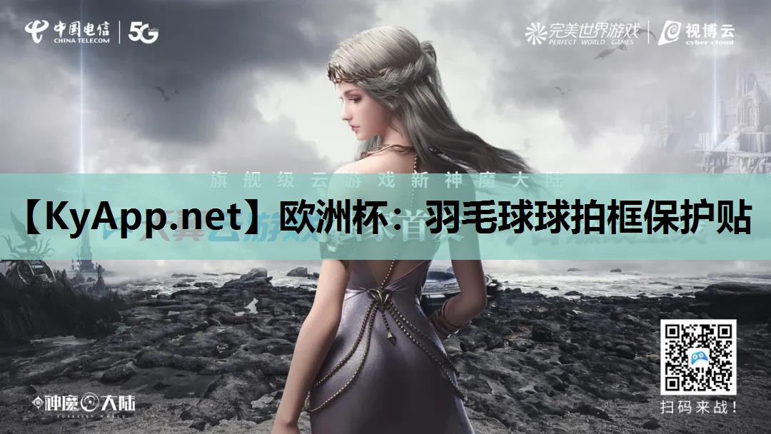 欧洲杯：羽毛球球拍框保护贴