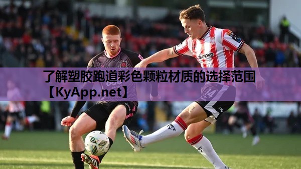 了解塑胶跑道彩色颗粒材质的选择范围