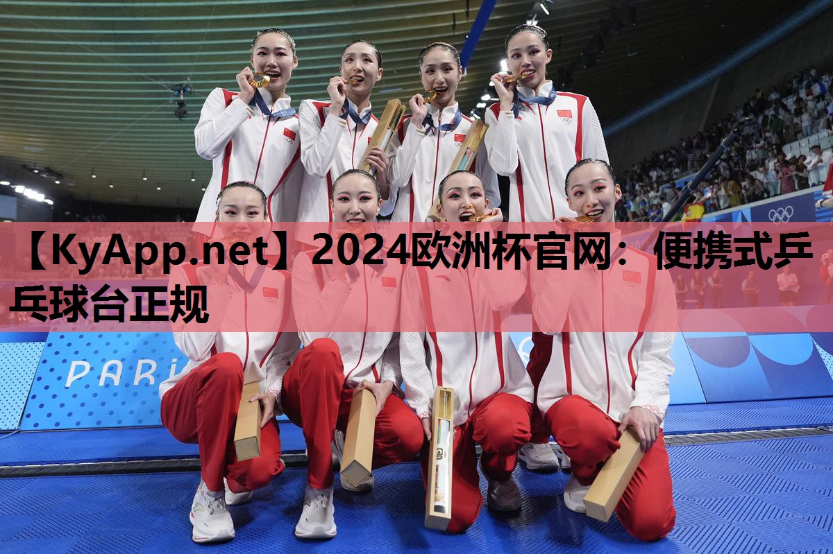 便携式乒乓球台正规 便携式乒乓球台正规