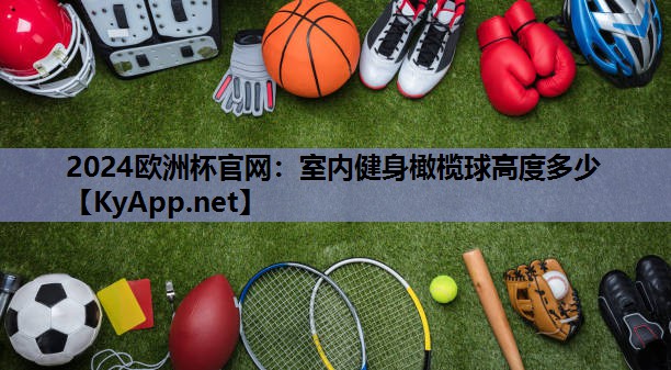 室内健身橄榄球高度多少 室内健身橄榄球高度多少