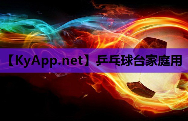 乒乓球台家庭用 乒乓球台家庭用