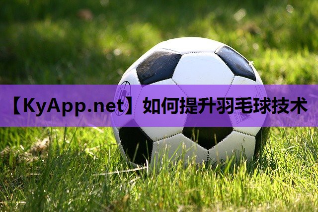 如何提升羽毛球技术 如何提升羽毛球技术