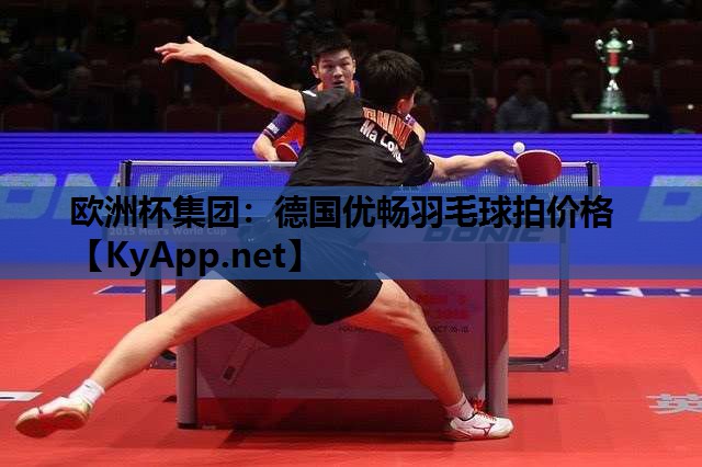 德国优畅羽毛球拍价格 德国优畅羽毛球拍价格