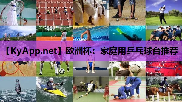 家庭用乒乓球台推荐 家庭用乒乓球台推荐