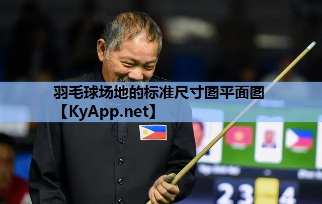 羽毛球场地的标准尺寸图平面图 羽毛球场地的标准尺寸图平面图