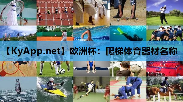 爬梯体育器材名称 爬梯体育器材名称