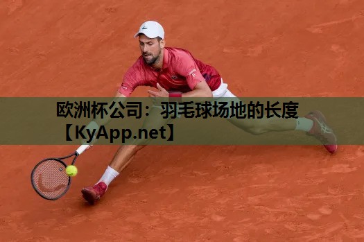 羽毛球场地的长度 羽毛球场地的长度