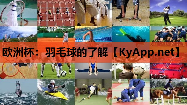 羽毛球的了解 羽毛球的了解