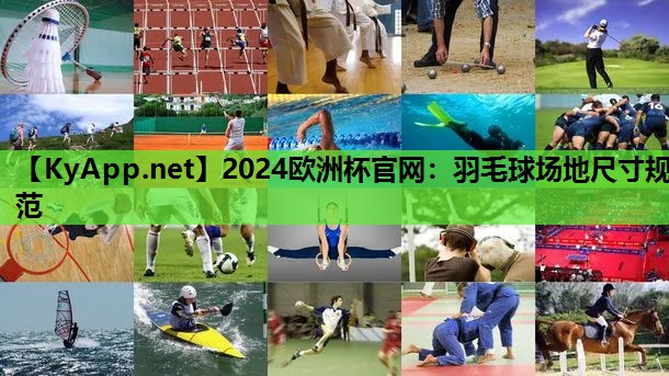 羽毛球场地尺寸规范 羽毛球场地尺寸规范