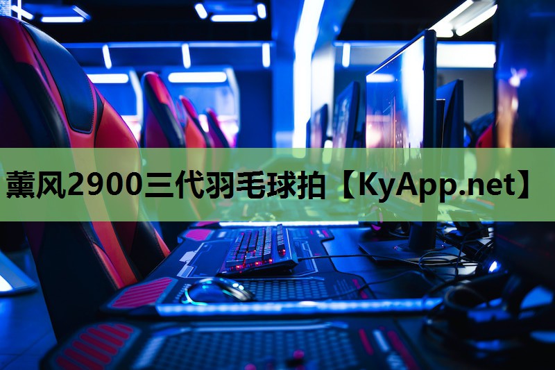 薰风2900三代羽毛球拍 薰风2900三代羽毛球拍