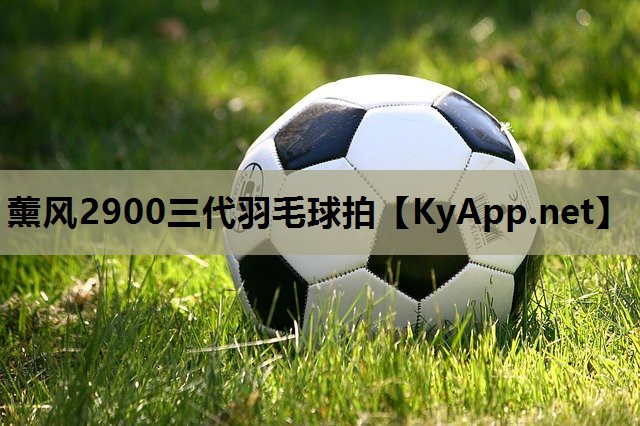 薰风2900三代羽毛球拍 薰风2900三代羽毛球拍