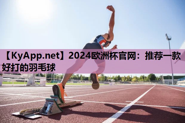 推荐一款好打的羽毛球 推荐一款好打的羽毛球