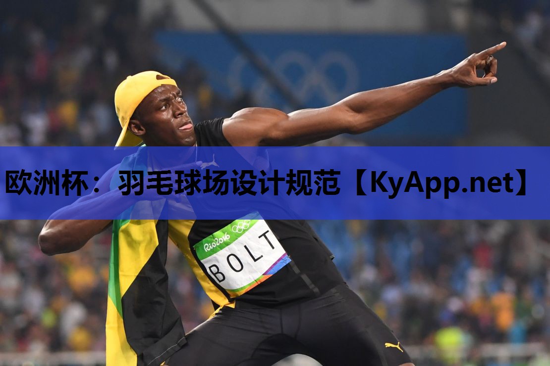 羽毛球场设计规范 羽毛球场设计规范