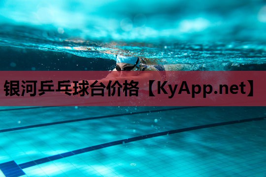 银河乒乓球台价格 银河乒乓球台价格