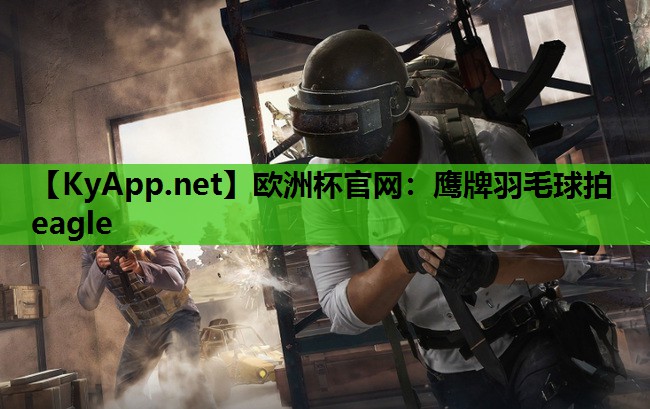 鹰牌羽毛球拍eagle 鹰牌羽毛球拍eagle