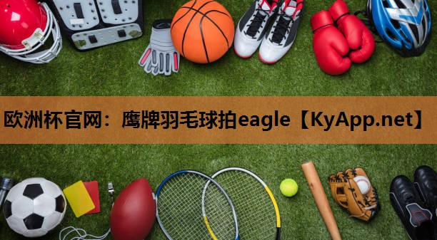 鹰牌羽毛球拍eagle 鹰牌羽毛球拍eagle