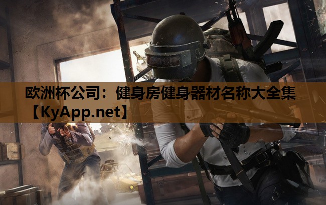 健身房健身器材名称大全集 健身房健身器材名称大全集