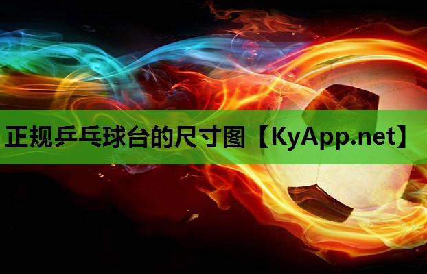 正规乒乓球台的尺寸图 正规乒乓球台的尺寸图