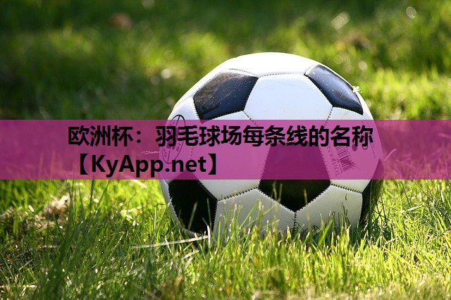 羽毛球场每条线的名称 羽毛球场每条线的名称