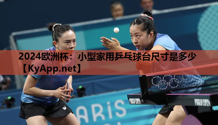 小型家用乒乓球台尺寸是多少 小型家用乒乓球台尺寸是多少