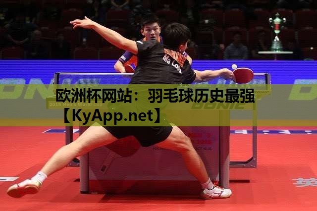 羽毛球历史最强 羽毛球历史最强