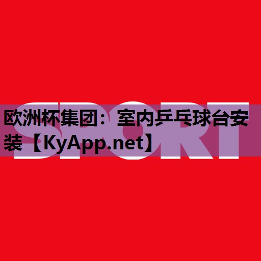 室内乒乓球台安装 室内乒乓球台安装