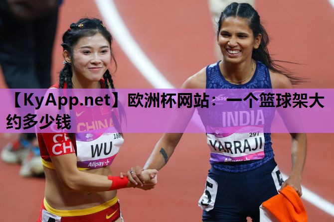 一个篮球架大约多少钱 一个篮球架大约多少钱