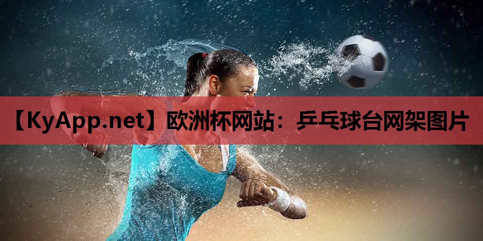 乒乓球台网架图片 乒乓球台网架图片