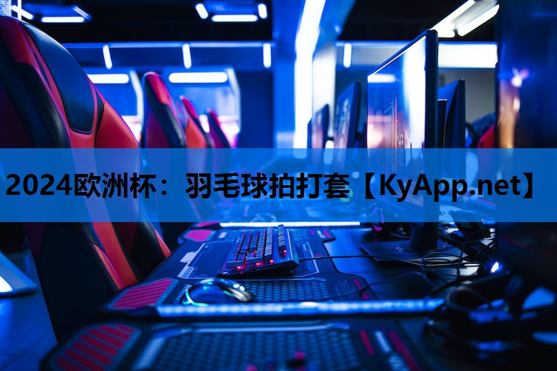 羽毛球拍打套 羽毛球拍打套