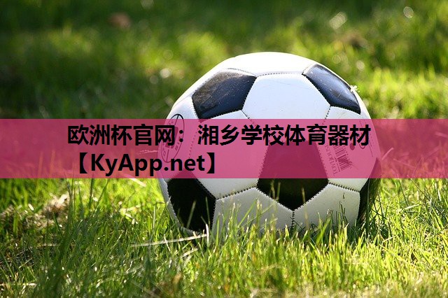 湘乡学校体育器材 湘乡学校体育器材