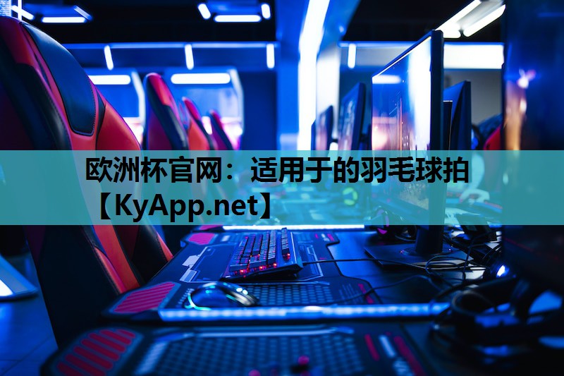 适用于的羽毛球拍 适用于的羽毛球拍