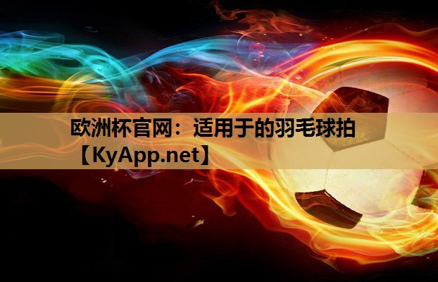 适用于的羽毛球拍 适用于的羽毛球拍