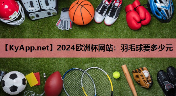 羽毛球要多少元 羽毛球要多少元