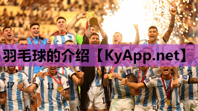 羽毛球的介绍 羽毛球的介绍
