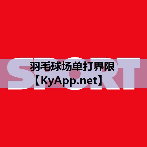 羽毛球场单打界限 羽毛球场单打界限
