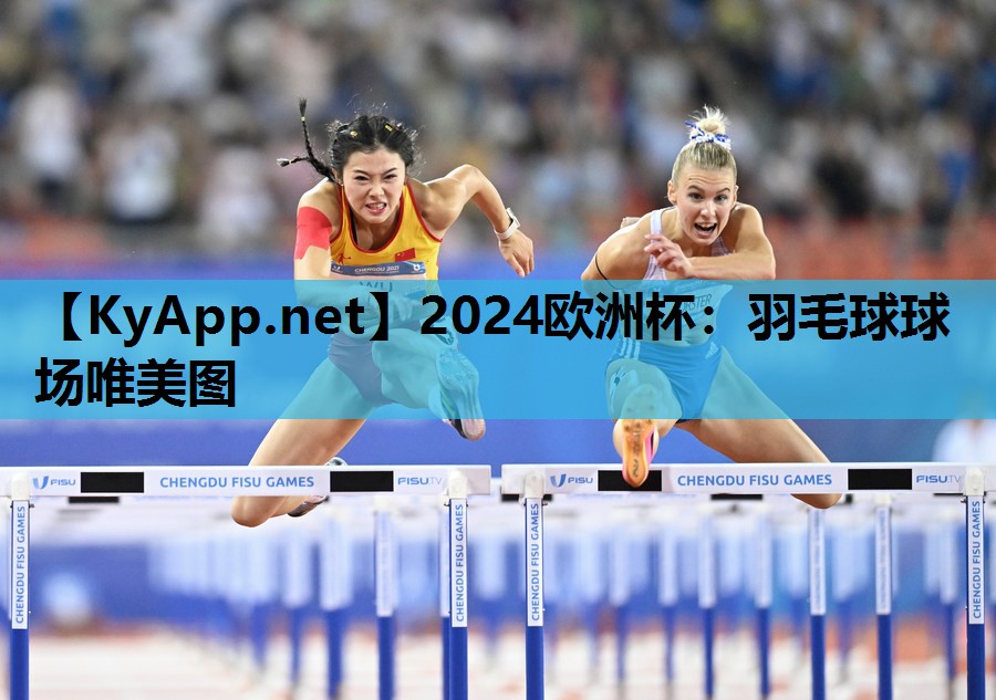 羽毛球球场唯美图 羽毛球球场唯美图